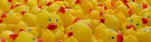 Duck Race 2021 for Charities