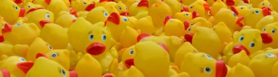 You are currently viewing Duck Race 2021 for Charities