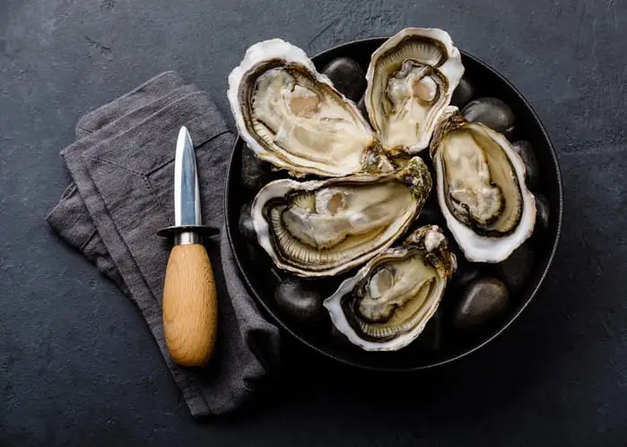 Photo of oysters at an oyster roast