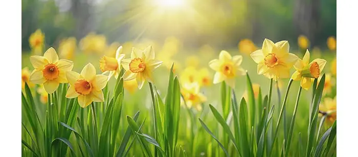 NO MEETING - Easter Week
